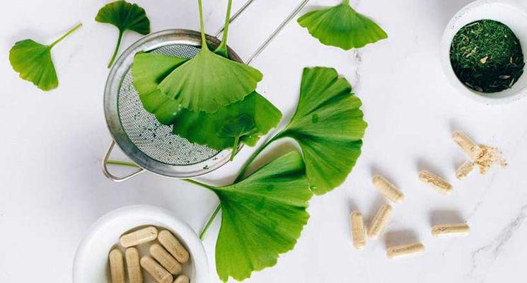 GINKGO BILOBA